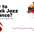 How to Check Jazz Balance?